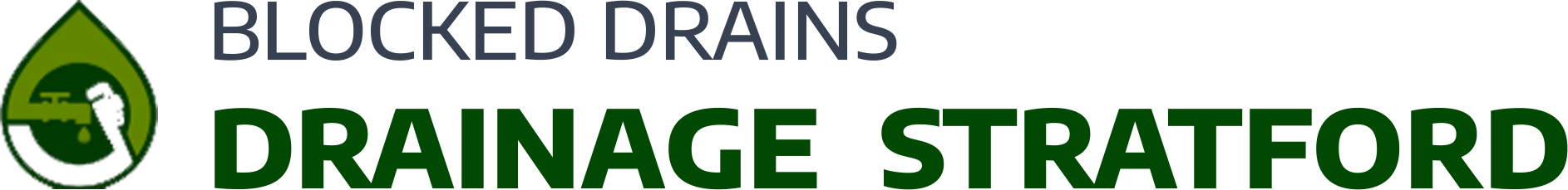 website logo